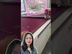 Μηχανή ζωγραφικής γραμμής κεφαλιού Sigle 3kw Μηχανή εκτύπωσης δέρματος 3000 - 5000pcs/h